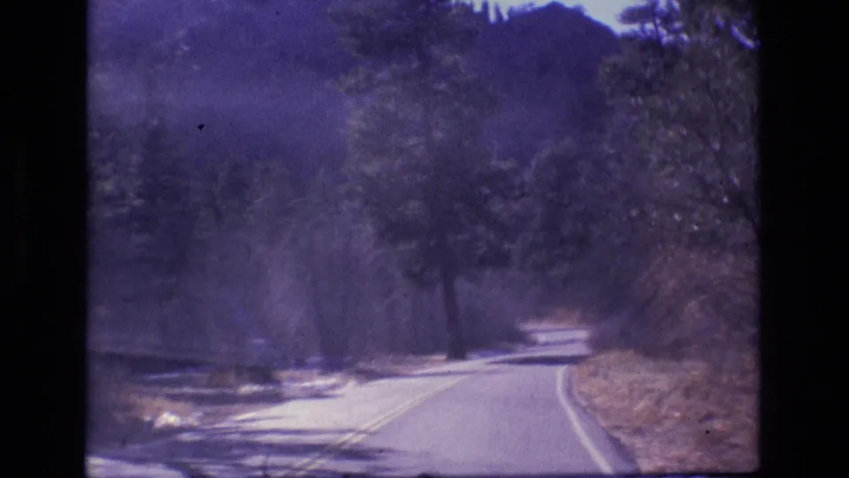 A forward-facing 1973 Colorado travel shot follows a curving road through a wooded area, with purple-blue 8mm color shift and slight motion blur.