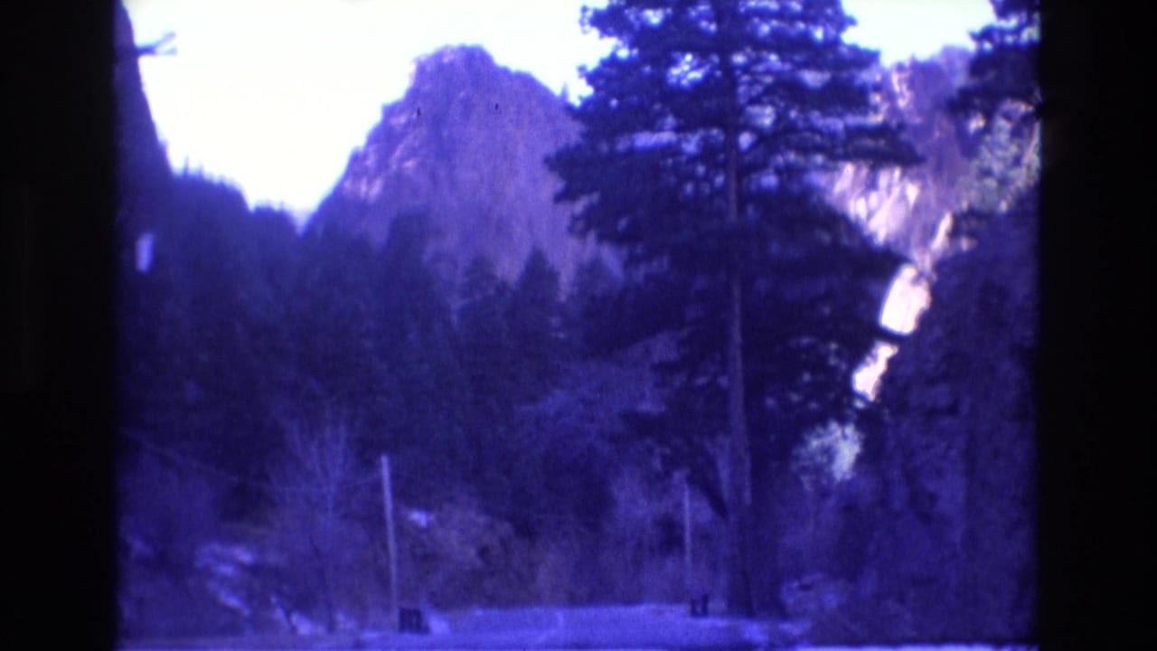 1973 Colorado 8mm frame showing a paved road through tall pines at the base of rocky mountain slopes, with utility poles and a purple-blue film cast.