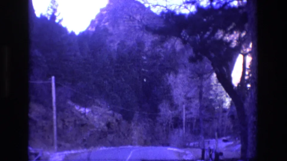 1973 Colorado home-movie frame showing a paved road passing under dark tree branches toward forest and rocky mountain faces, with utility poles along the roadside.