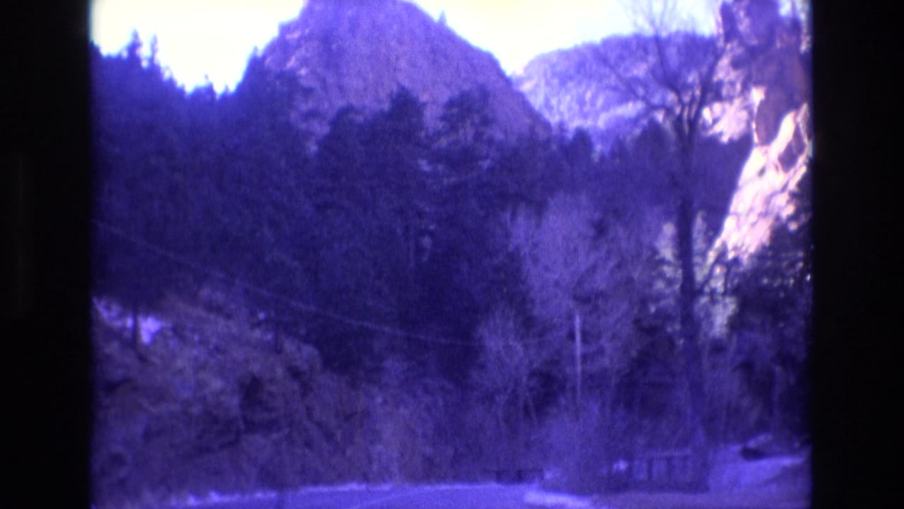Forest road view with mountains and rocky cliffs beyond the trees.