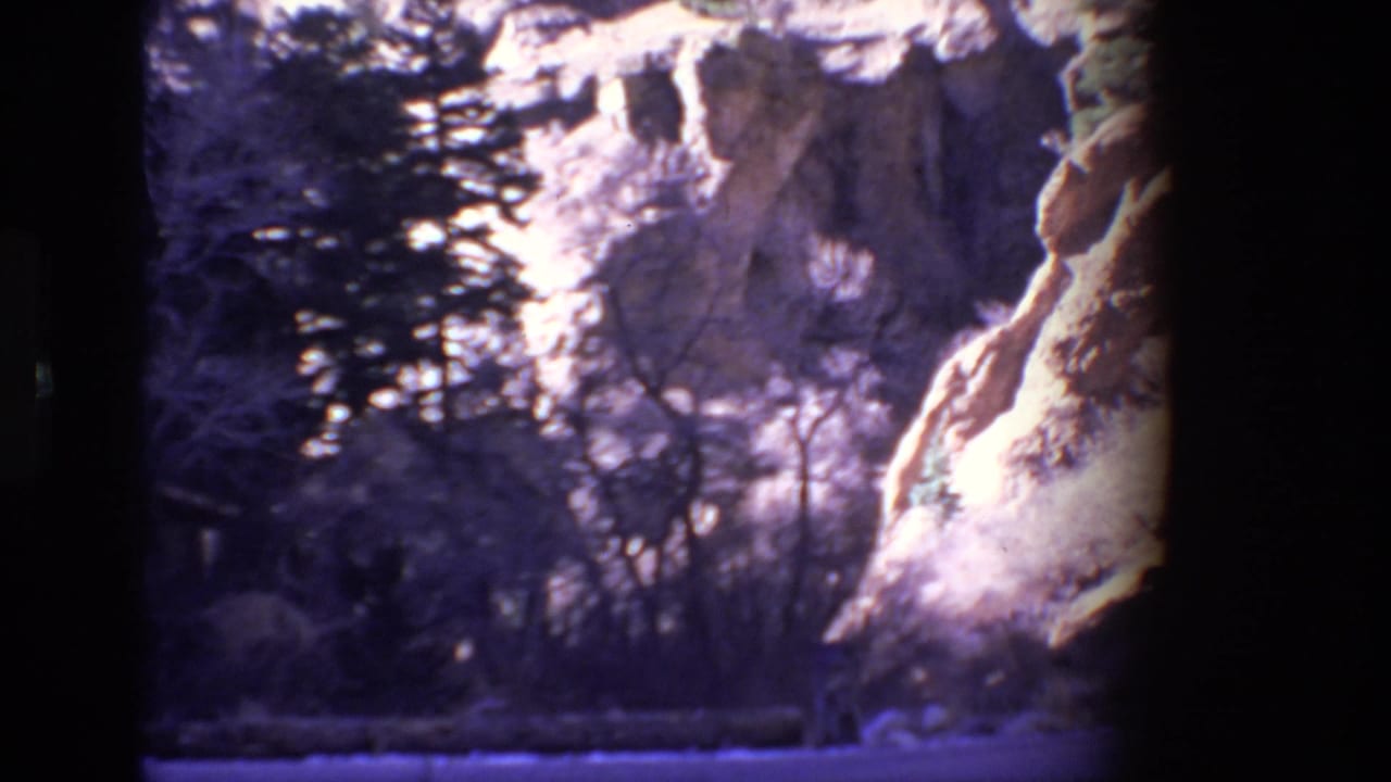Sunlit rock formation with trees and brush near a roadside.