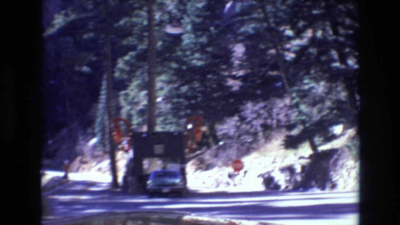 Forest road approaching a stop sign and roadside booth from a moving car.