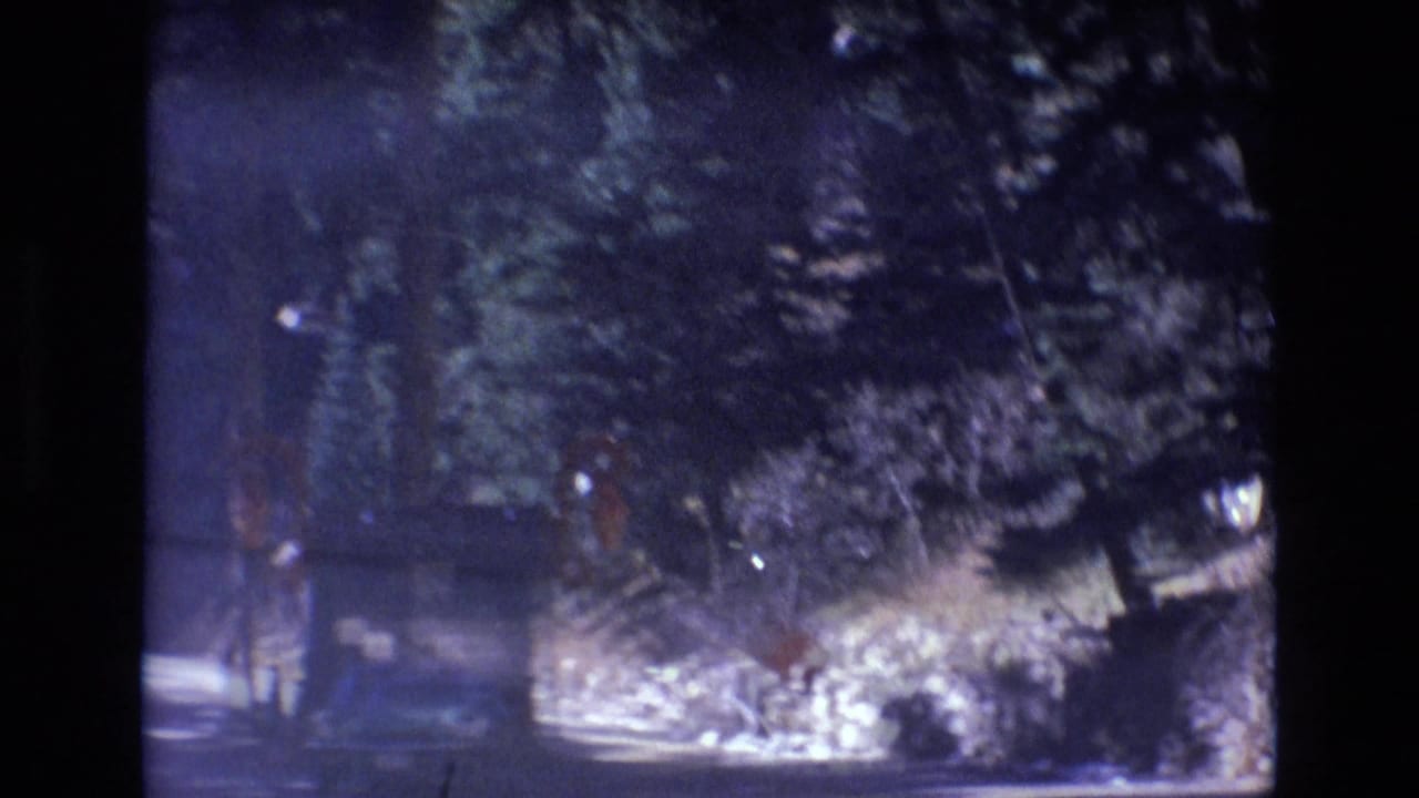 Soft, dark frame of a wooded roadside entrance with a stop sign ahead.