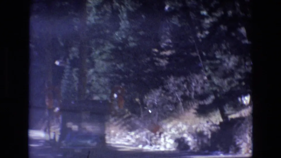 A dim, motion-blurred 1973 Colorado frame shows the car nearing a shadowed roadside booth or entrance area among dense pine trees.
