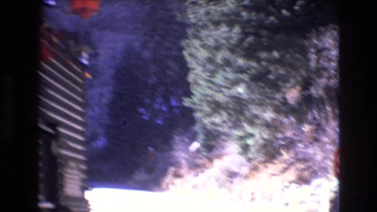 1973 Colorado 8mm frame with a blurred roadside view, evergreen trees, bright ground, and dark vertical film-frame division from the contact sheet.