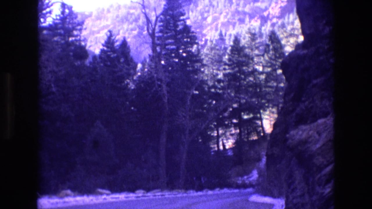 Purple-tinted forest and rocky mountain landscape with evergreen trees.