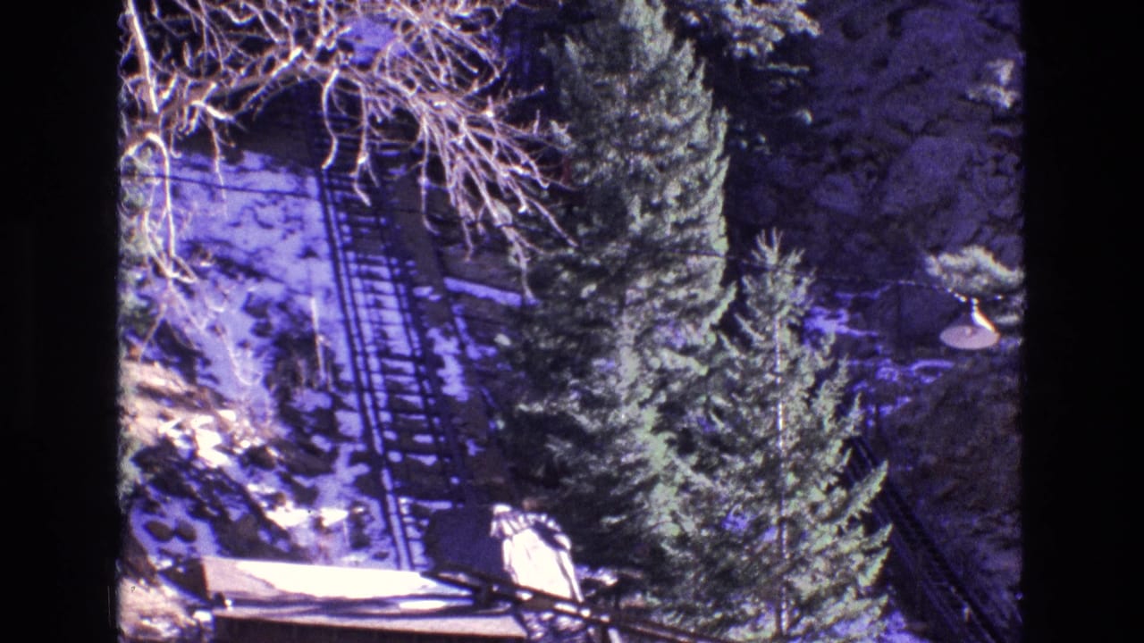 Snowy incline tracks partly hidden by evergreen trees and bare branches.