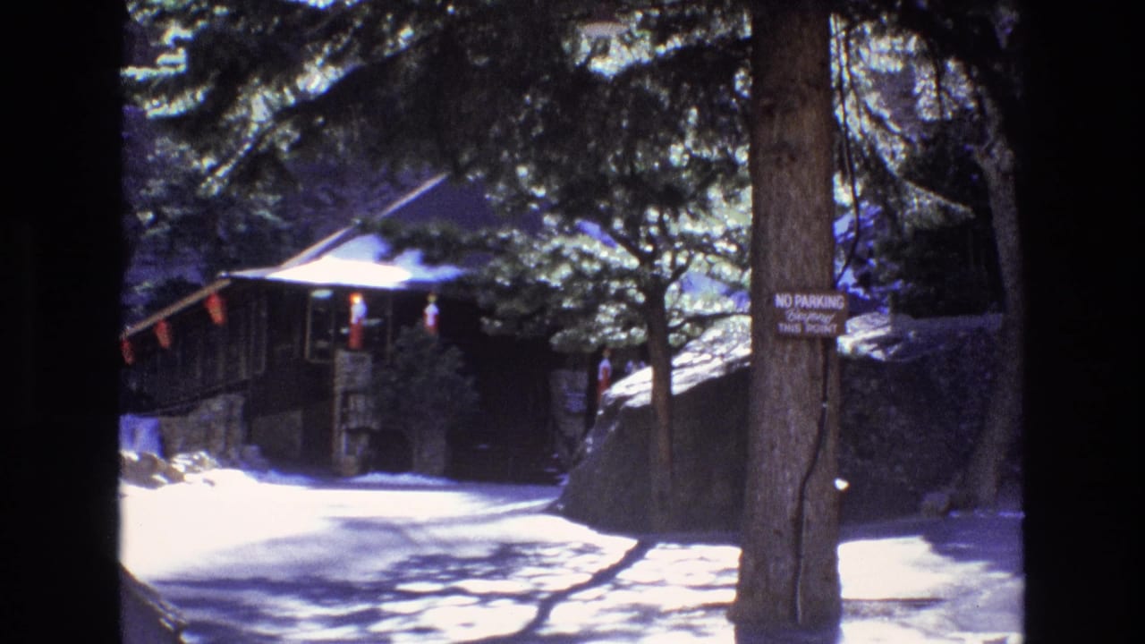 Forest path with a rustic structure and no-parking sign attached to a tree.