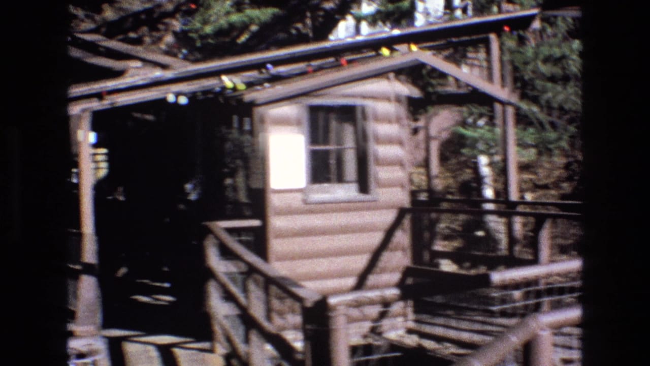 Small log-style cabin with a porch and overhead cable structure in trees.