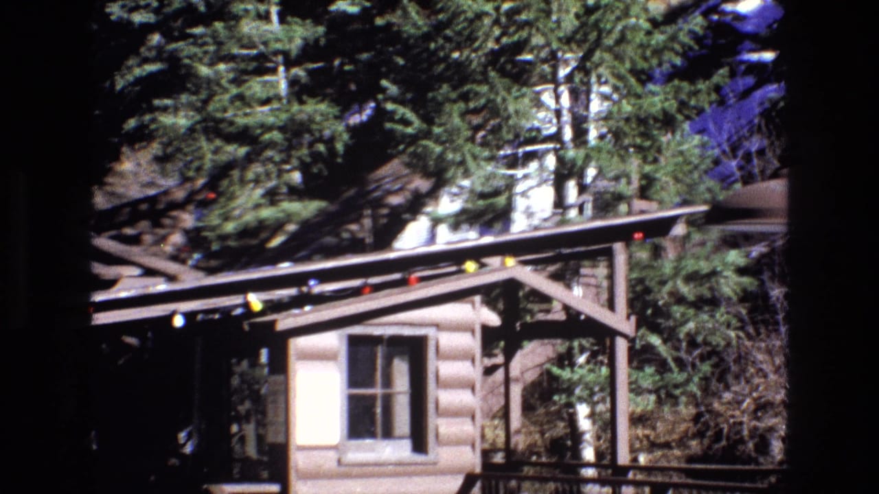 Rustic cabin exterior with porch, window, string lights, and evergreen trees.
