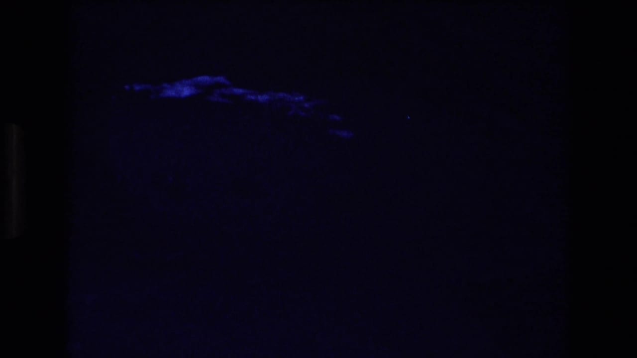 Very dark blue-tinted frame with faint light shapes near the top.