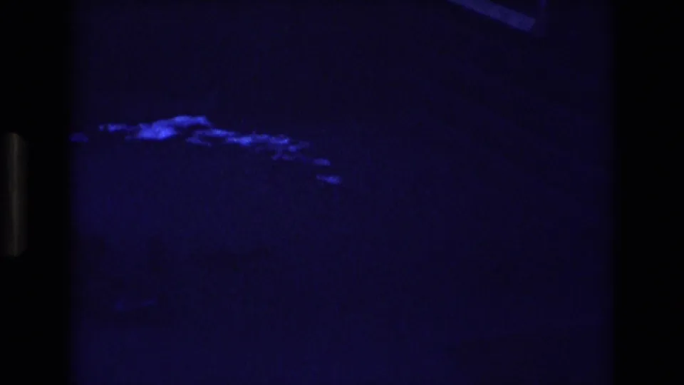 Final dark blue-tinted 8mm frame with minimal visible detail and a small pale diagonal shape near the right side.