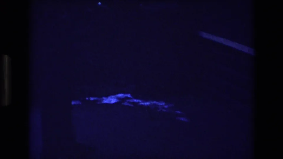 Low-light 1973 Colorado 8mm frame with a blue-lit patch on the ground and indistinct forms that may be birds or food, seen through heavy grain and shadow.