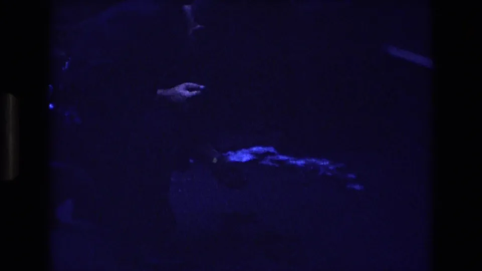 Low-light 1973 Colorado 8mm frame with a visible hand near the center and faint blue-lit shapes below, consistent with the metadata description of feeding young birds.