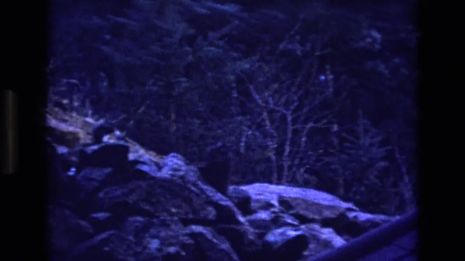 1973 Colorado 8mm frame showing a low-light blue-tinted rocky ledge in a forest, with bare branches and a dark indistinct shape near the boulders.