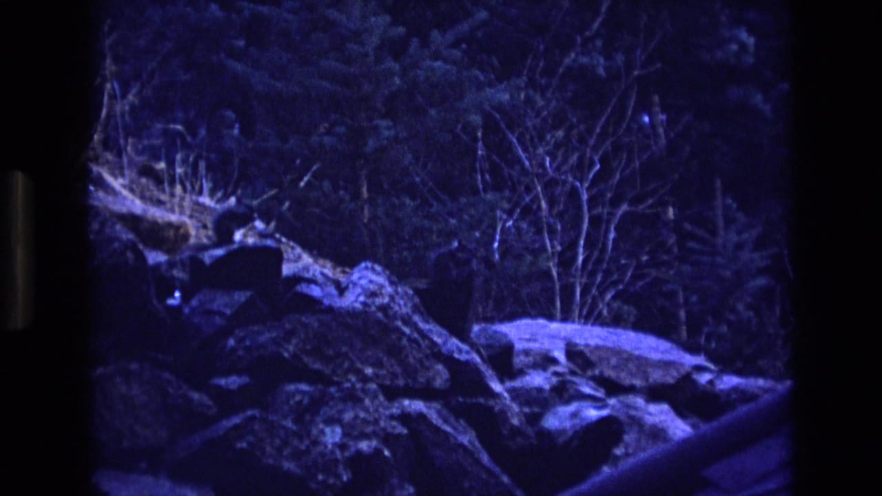 Rocky wooded slope under deep blue light with dark shapes among the boulders.
