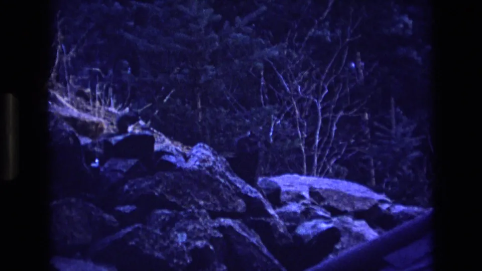 1973 Colorado 8mm frame of a wooded rocky slope under saturated blue low light, with dense trees behind large boulders and an indistinct dark form near the ledge.