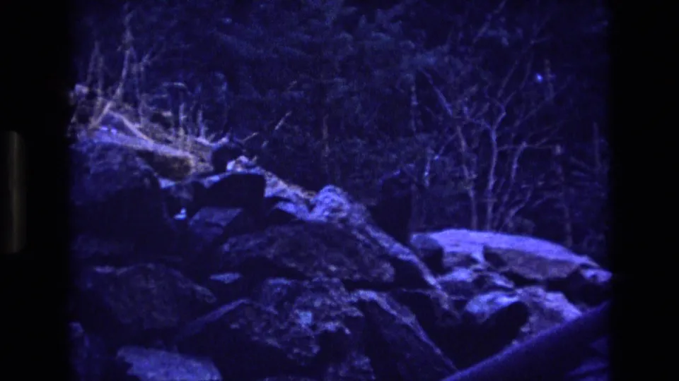 1973 Colorado 8mm frame showing a blue-toned forest ledge with uneven rocks, thin branches, and a dark indistinct shape partly blending into the foreground boulders.