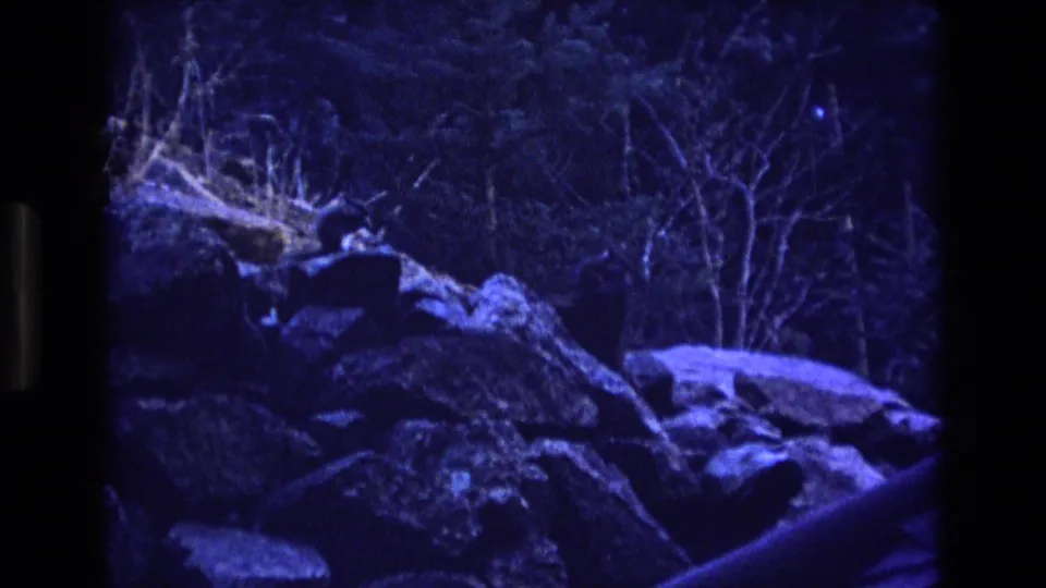 1973 Colorado 8mm frame of a rocky forest ledge at low light, with boulders, brush, bare tree limbs, and an indistinct dark shape near the center-left rocks.