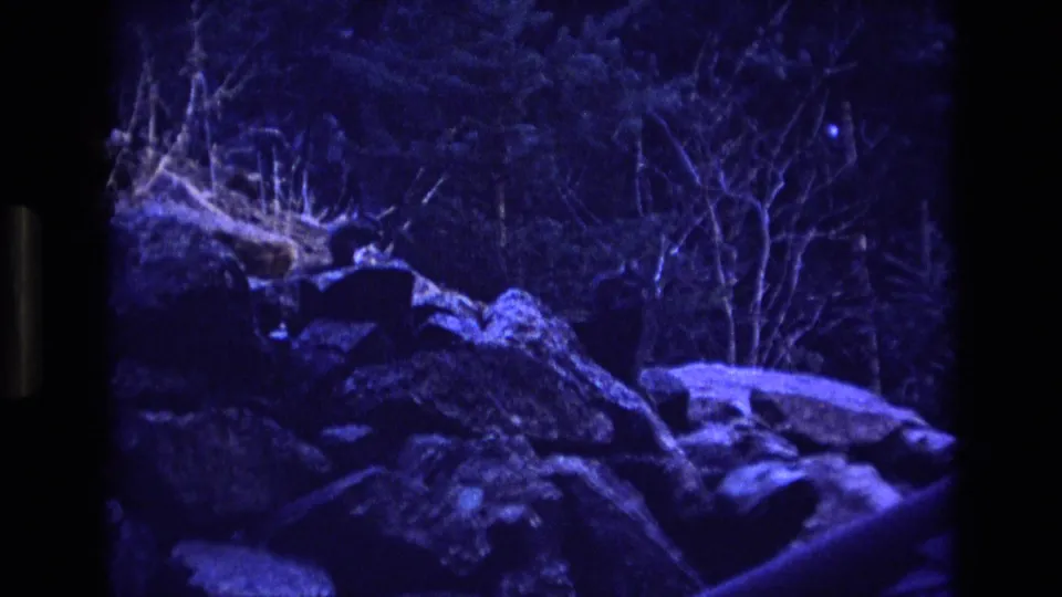 1973 Colorado 8mm frame with rocks, brush, and bare trees illuminated by strong blue light in a nighttime park-like setting.