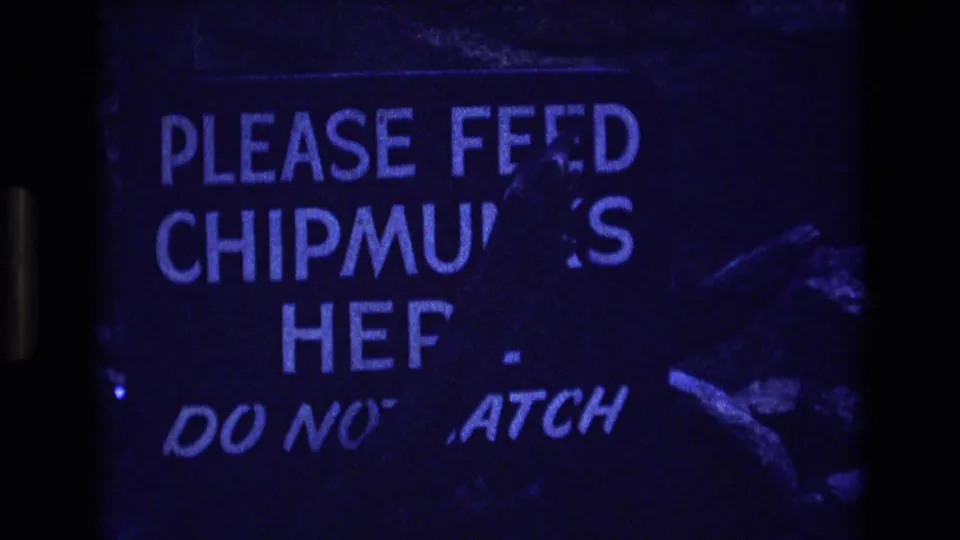 1973 Colorado 8mm frame showing a blue-lit sign that reads in part, 'PLEASE FEED CHIPMUNKS HERE' and 'DO NOT TOUCH.'