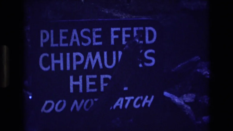 1973 Colorado 8mm frame centered on a blue-lit visitor sign for feeding chipmunks, with a partially visible handwritten warning below.