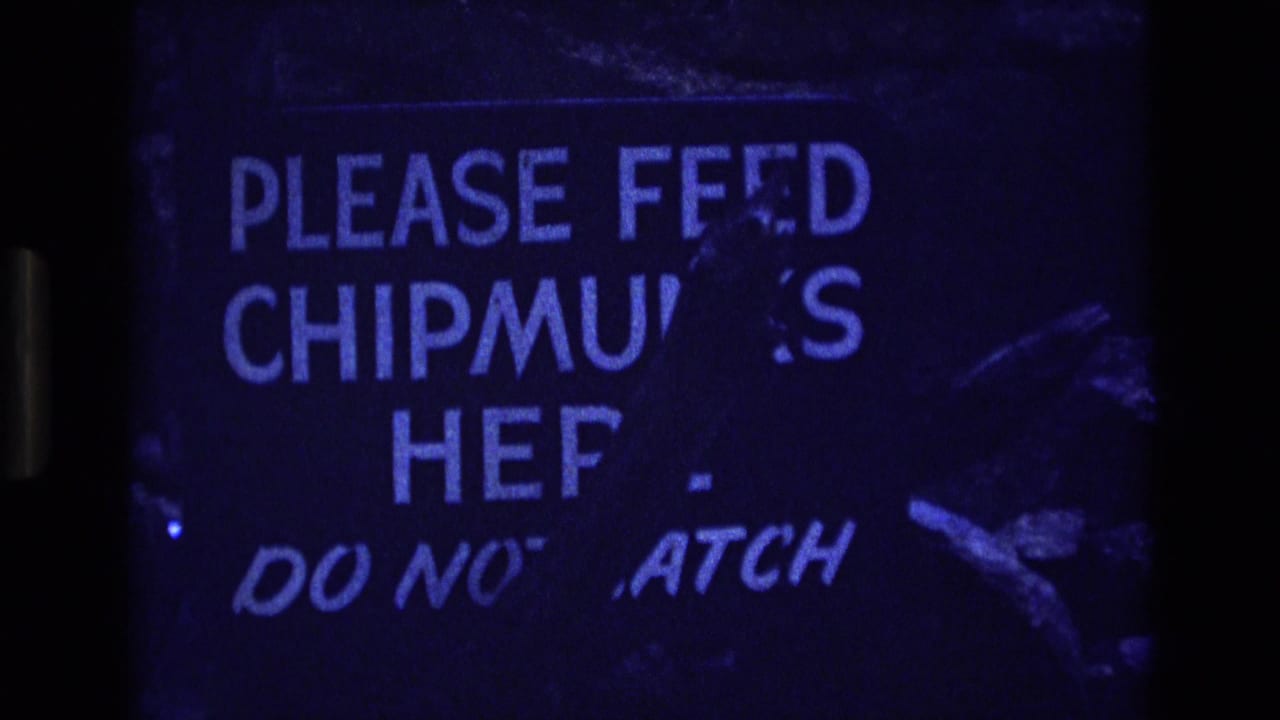 Weathered dark sign with partially missing white lettering under blue-tinted light.