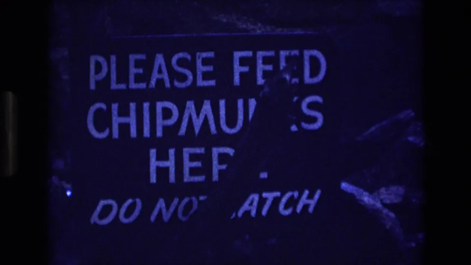 Close 8mm view of the weathered Colorado visitor sign, with the words about feeding chipmunks partly readable and dark film borders visible.