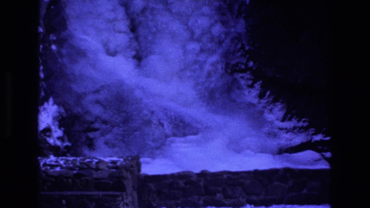 Frozen waterfall and snowy ledge with dark trees around it.