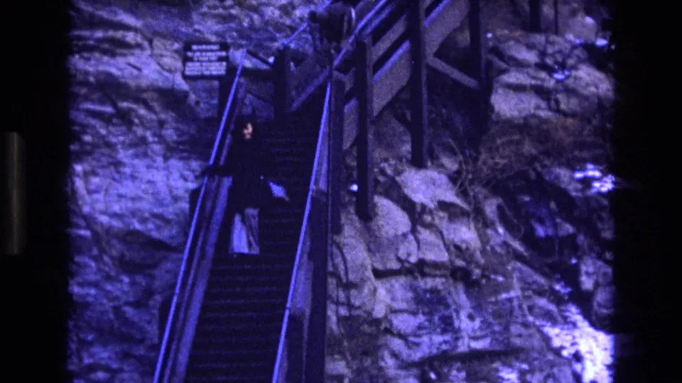 Near the end of the clip, the woman is lower on the steep rock-side stairway, with metal steps, railings, rough stone, and brush surrounding the path.