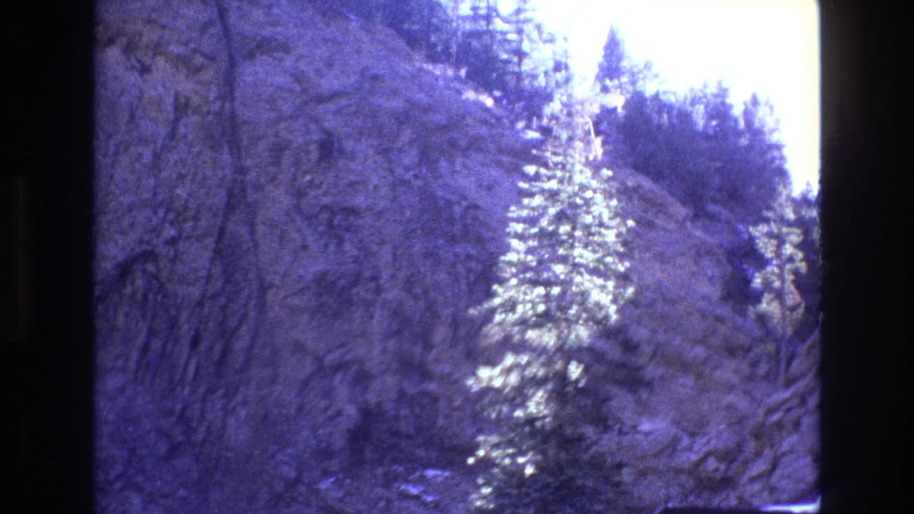 1973 Colorado 8mm frame of a rugged rock wall and sunlit conifer with darker forest along the upper slope.