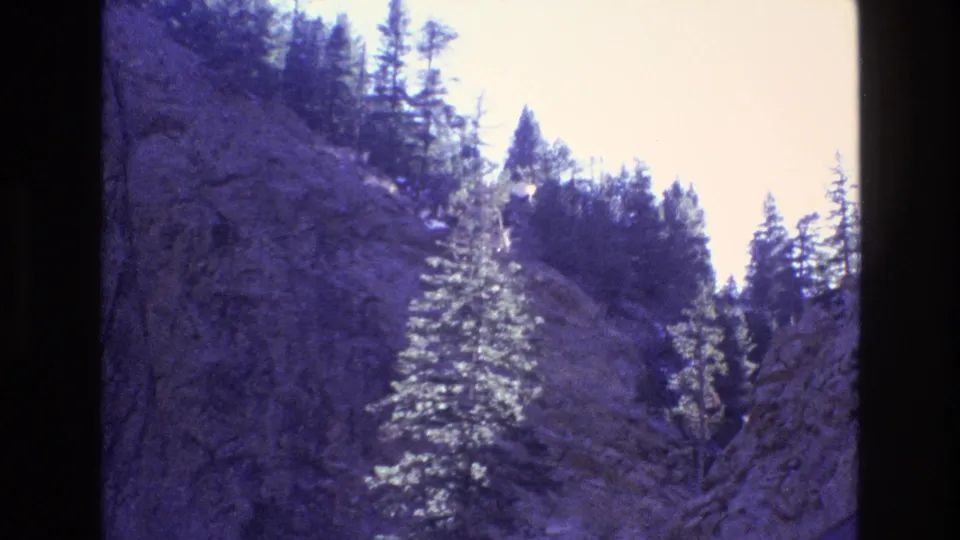 1973 Colorado 8mm frame showing conifer trees on a steep rocky slope, with pale daylight sky and a forested ridge above.