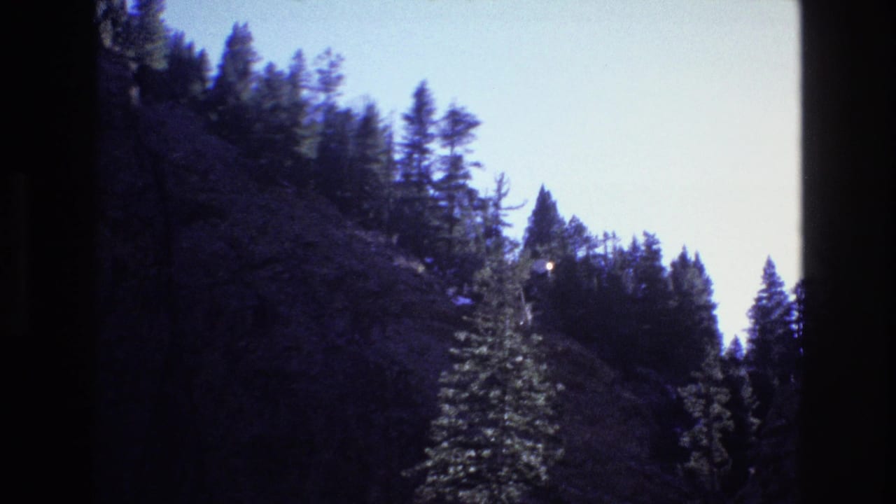 1973 Colorado 8mm frame showing pine trees on a shadowed mountain slope beneath a pale blue dawn-or-dusk sky.
