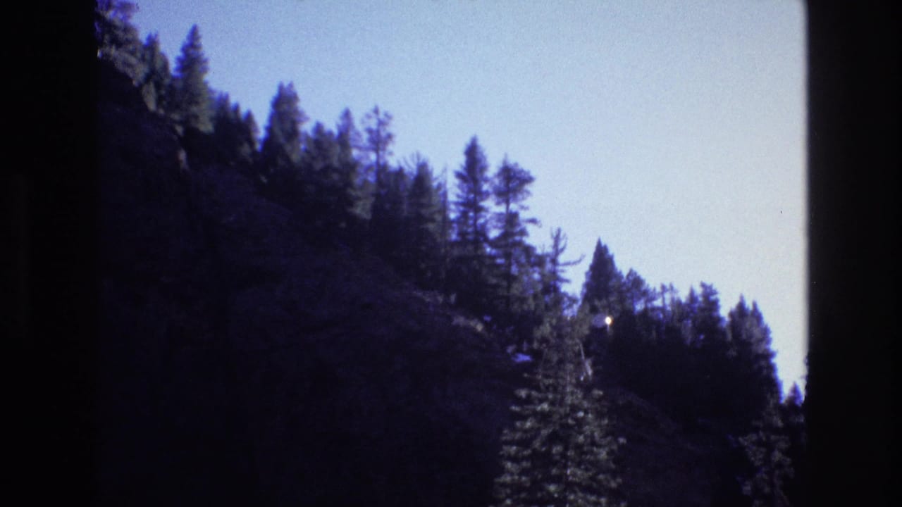 Forested rocky slope with silhouetted pines and a small bright light in the trees.
