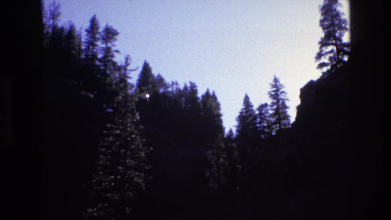 1973 Colorado 8mm frame showing silhouetted conifer trees and a pale twilight sky above a shadowed canyon edge.