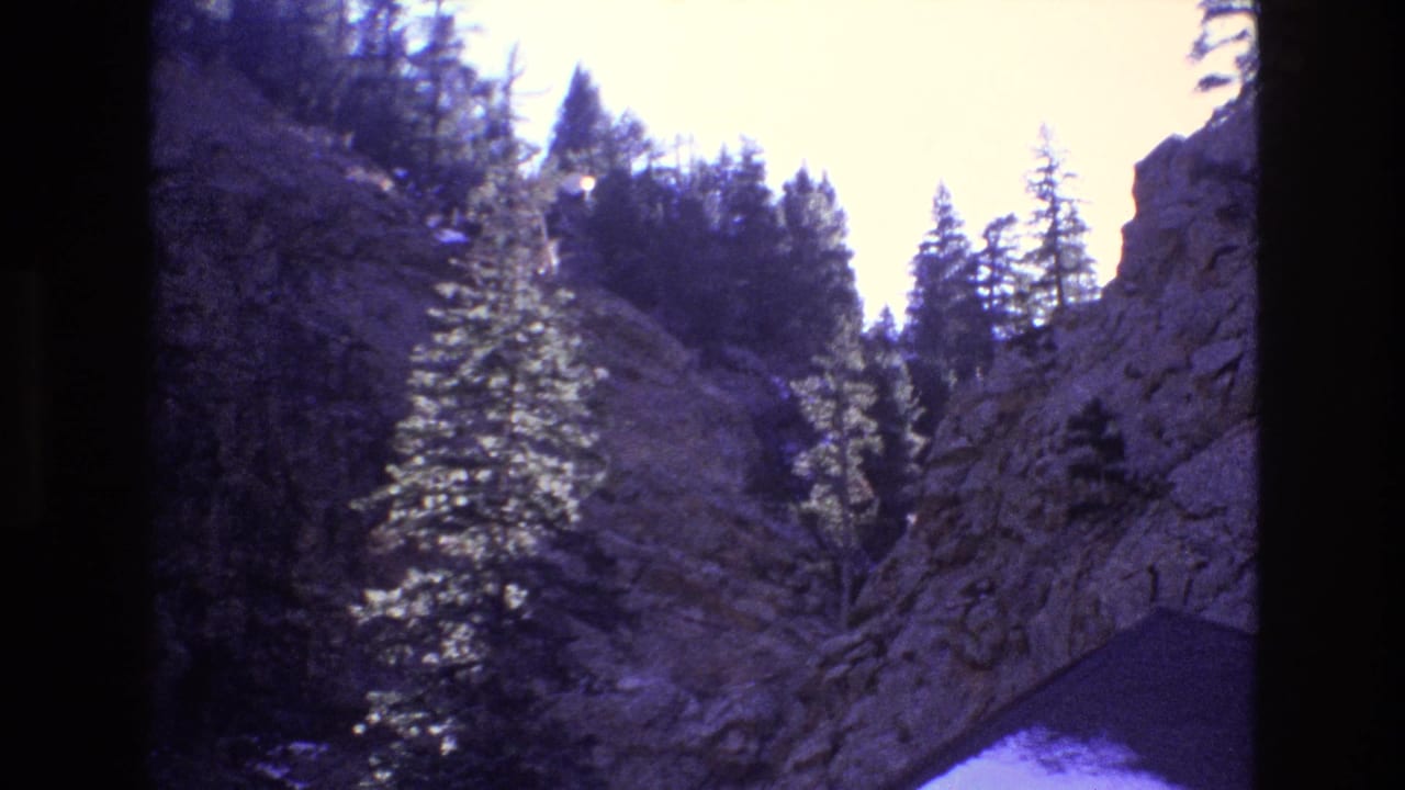 Rocky canyon wall with pine trees and a bright conifer near the center.