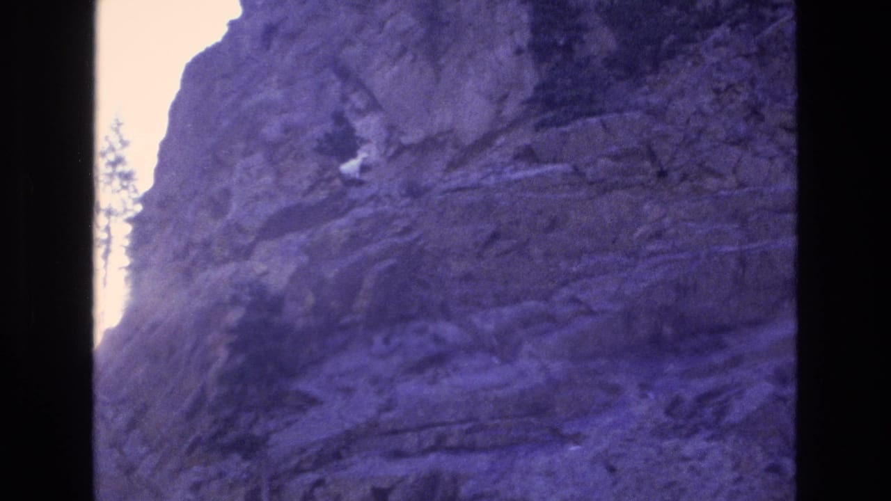 Mountain goat on a rugged cliff surface beside a bright gap of sky.