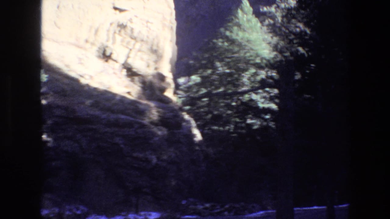 Pale cliff face, evergreen branches, and a shadowed rocky foreground.