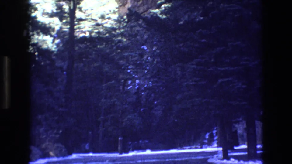 1973 Colorado home-movie frame showing a wooded winter roadside with snow along the ground, tall trees, and a dark object near the road edge.