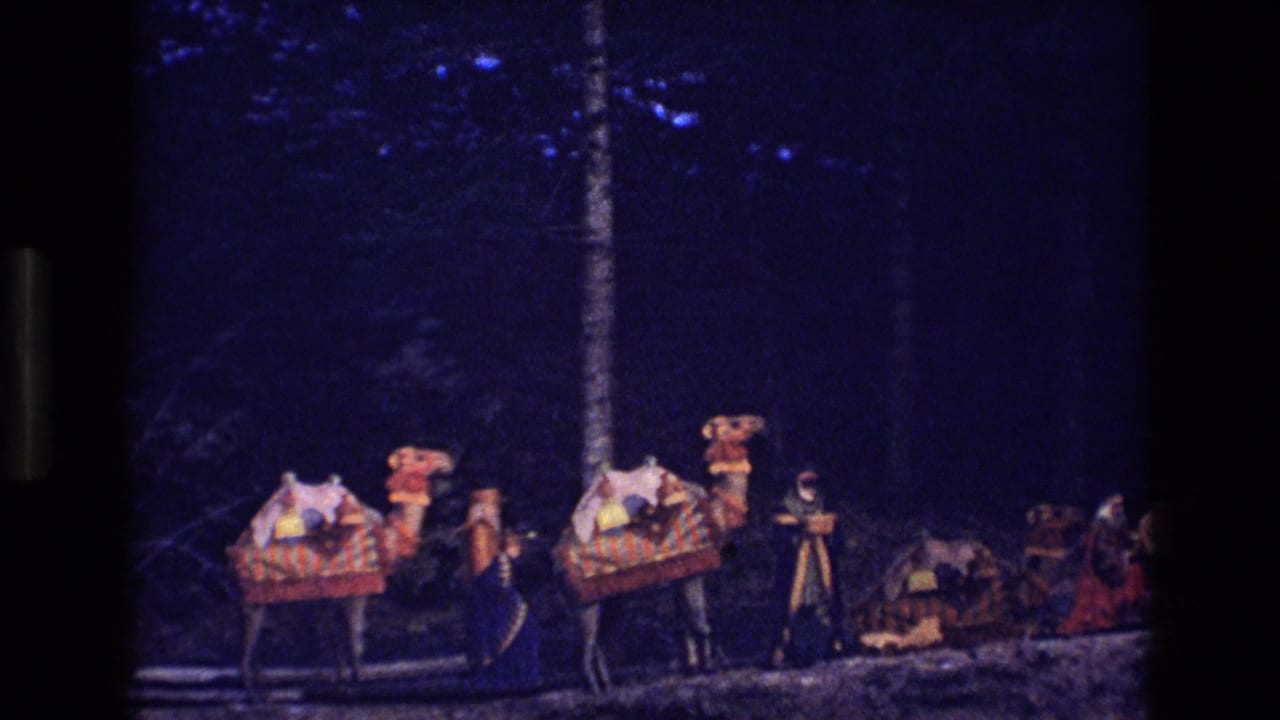 1973 Colorado 8mm frame showing a line of saddled dromedaries under dark blue nighttime light with people standing beside them.