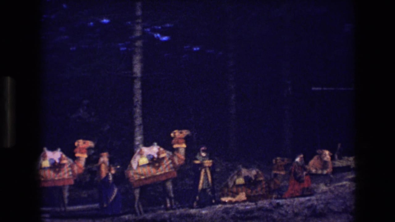 Camels with colorful saddle coverings stand beside people in a dim forest clearing.