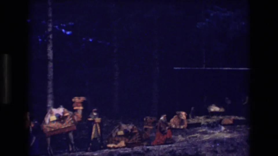 Grainy 8mm footage from Colorado in 1973 shows camels and people partially framed in a dark forested nighttime scene.