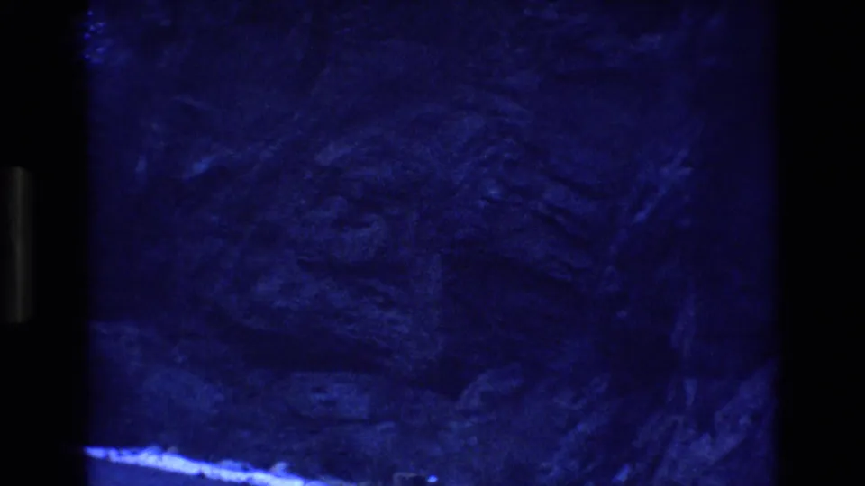 Blue-tinted 8mm frame with dark, grainy texture that appears to be forest, snow, or roadside ground detail without clear landmarks.