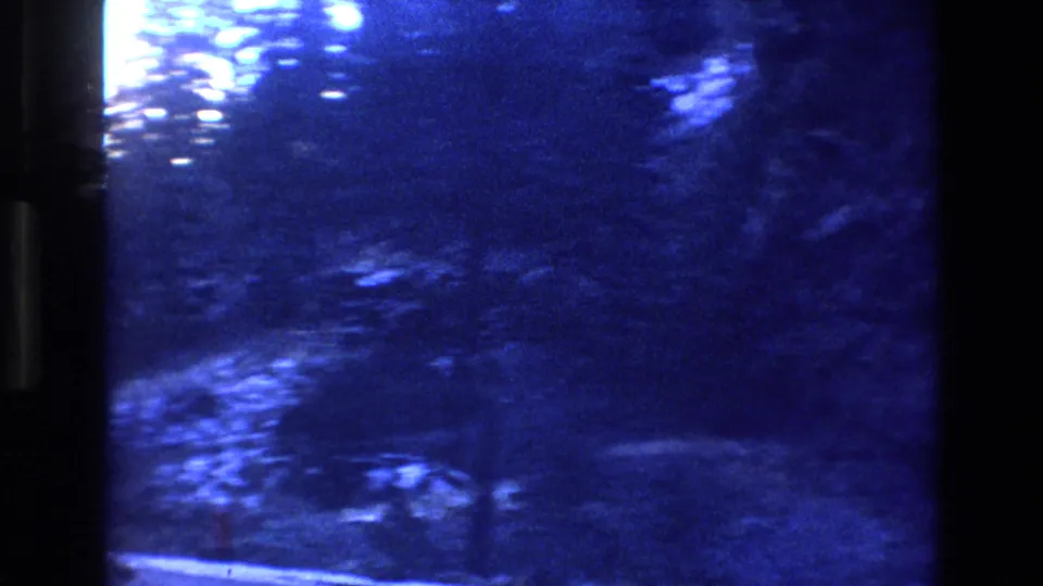 Blue, soft 1973 Colorado home-movie frame showing snowy evergreen forest or roadside trees with heavy grain and motion blur.