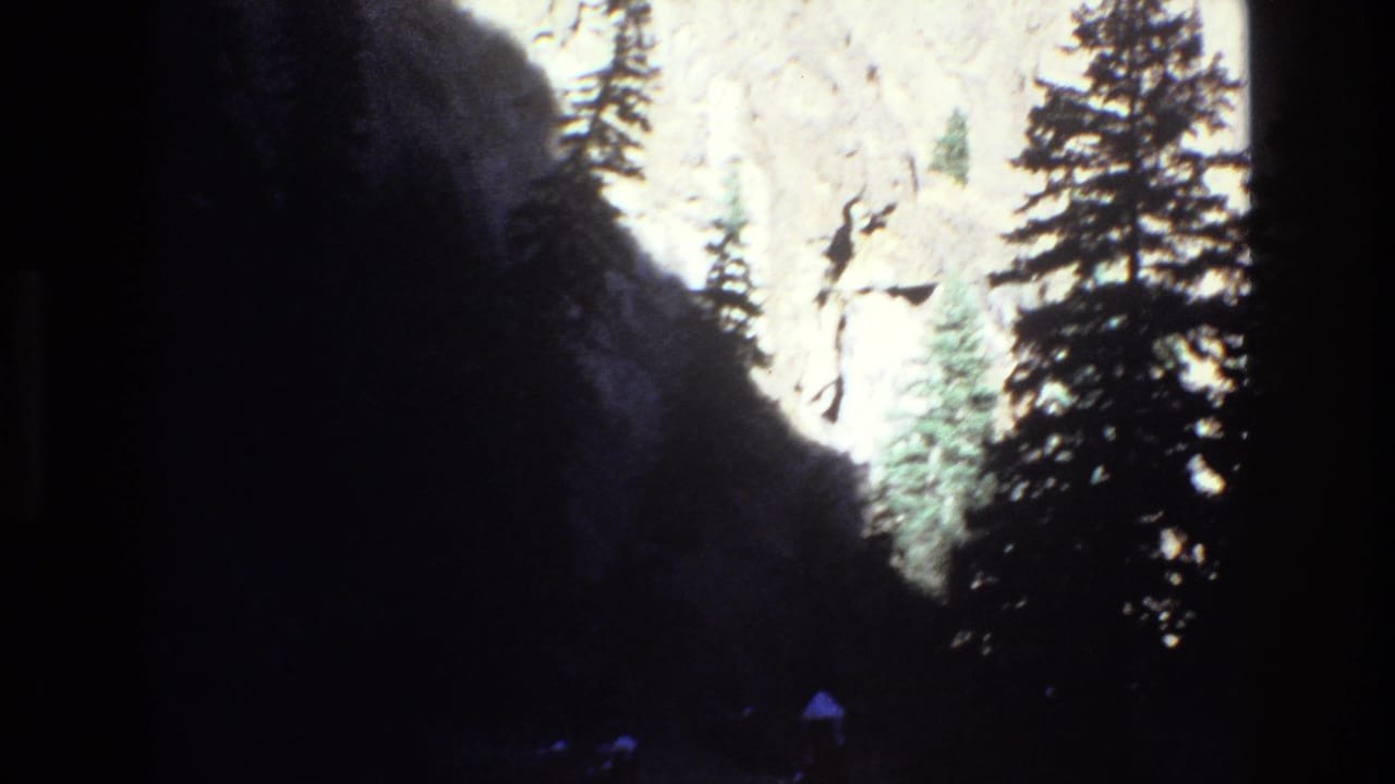 1973 Colorado 8mm frame showing shaded pine trees and a dark forest foreground silhouetted against sunlit rocky mountain slopes.