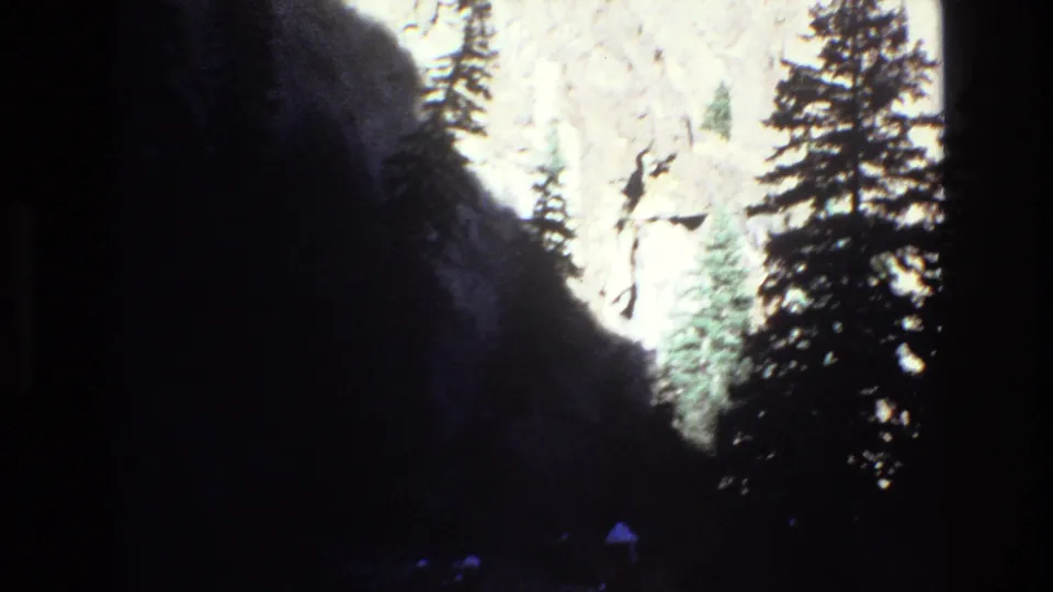 1973 Colorado 8mm frame showing shaded pine trees and a dark forest foreground silhouetted against sunlit rocky mountain slopes.