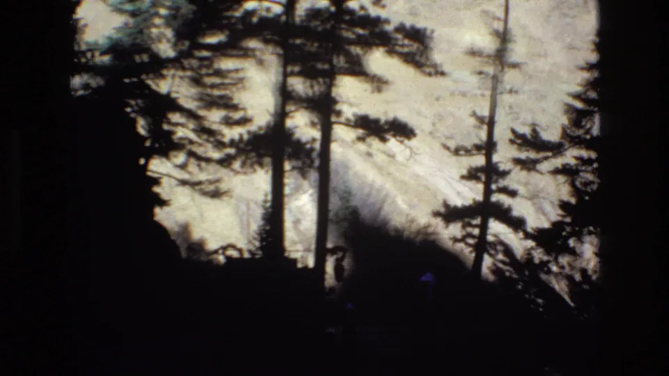 1973 Colorado 8mm frame looking through dark pine trunks toward a pale sunlit rocky mountain face, with small indistinct figures near the lower edge.
