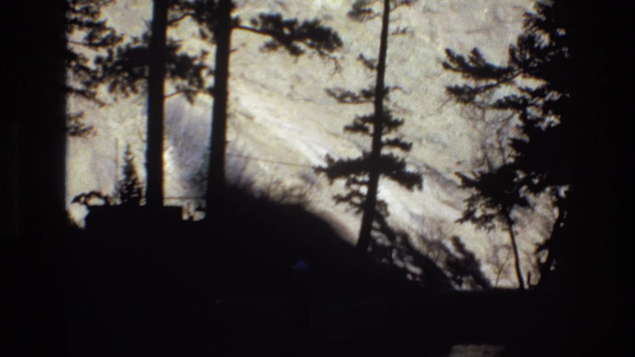 1973 Colorado 8mm frame showing tall pine trunks in silhouette before an overexposed snowy mountain slope, likely filmed from a moving vehicle.
