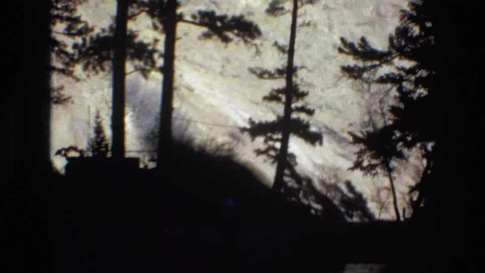1973 Colorado 8mm frame showing tall pine trunks in silhouette before an overexposed snowy mountain slope, likely filmed from a moving vehicle.