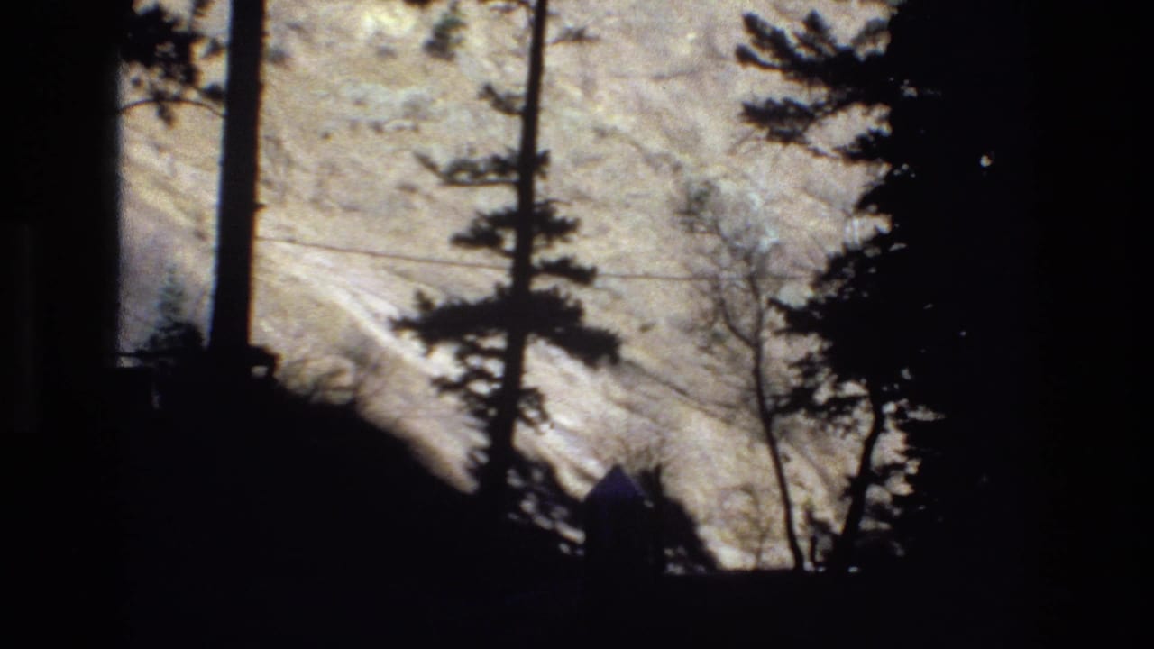 Pine silhouettes and a bright snow-covered slope seen through dark film edges.